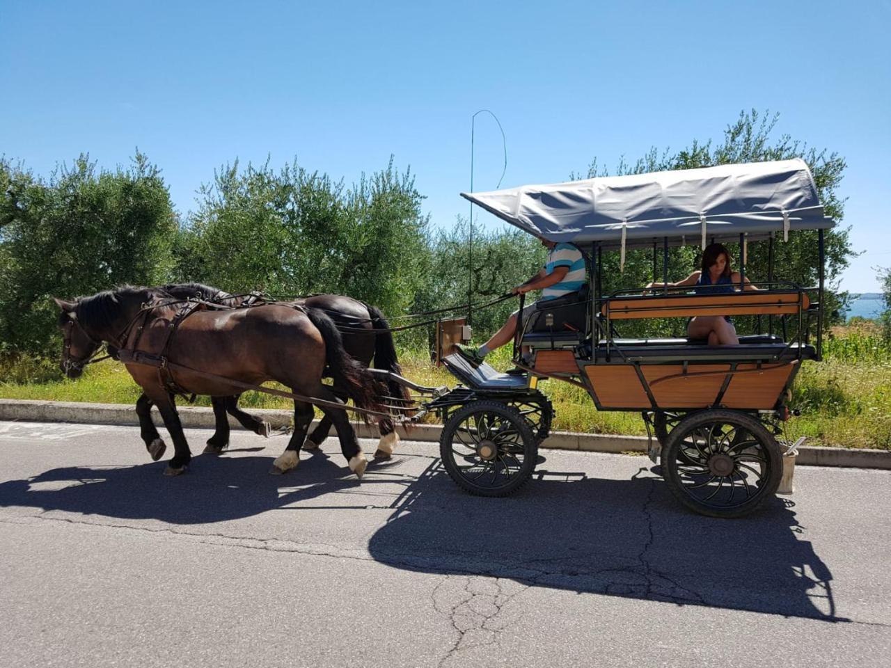 Lamasu Rioverde - Lago Di Garda San Felice del Benaco Eksteriør billede